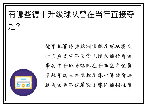 有哪些德甲升级球队曾在当年直接夺冠？