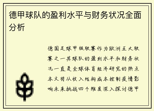 德甲球队的盈利水平与财务状况全面分析